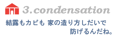 結露もカビも家の造り方しだいで防げるんだね。